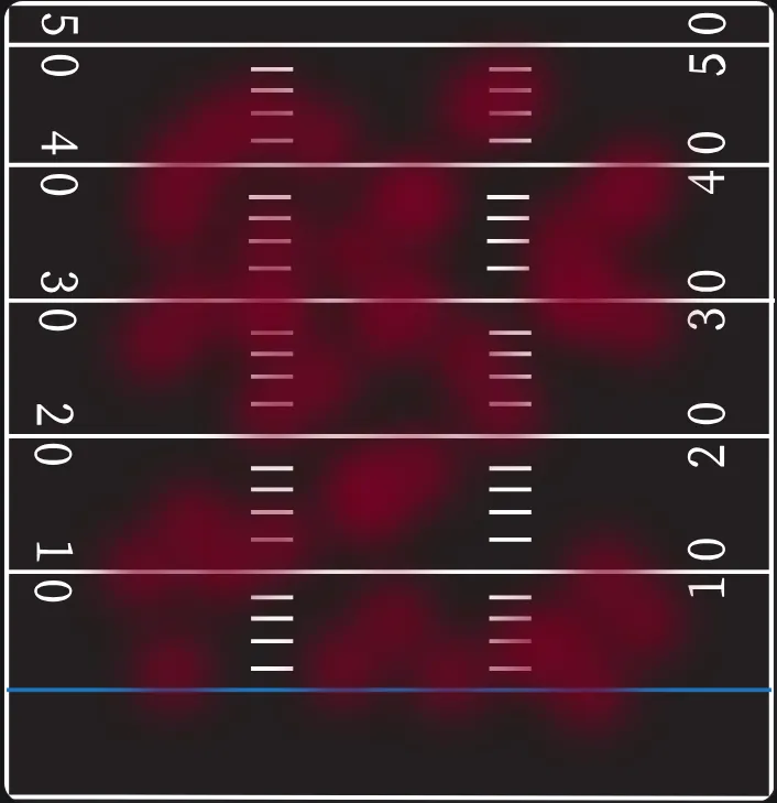 Heatmap overlay